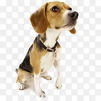 ������Ӱ�������-������