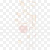 ������Ӱ�������Ҷ��ֽ-������