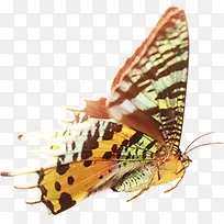 ������Ӱ���������-������