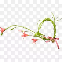 花卉灯饰艺术-唐菖蒲-空若网 花卉灯饰艺术-唐菖蒲-空若网