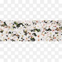 唯美背景摄影风景图-空若网 唯美背景摄影风景图-空若网