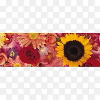 唯美背景摄影风景图-空若网 唯美背景摄影风景图-空若网