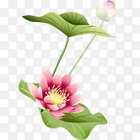 ÃÀÀöºÉ»¨²å»¾°¹Û-¿ÕÈôÍø ÃÀÀöºÉ»¨²å»¾°¹Û-¿ÕÈôÍø