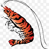 卡通手绘虾-空若网 卡通手绘虾-空若网