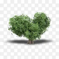 ������������-������