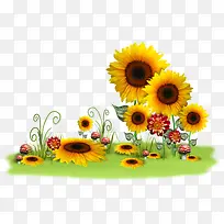 ���տ�-������