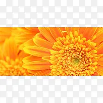 ��Ӱ����-������