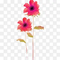 ÊÖ»æË®²ÊºìɫС»¨-¿ÕÈôÍø ÊÖ»æË®²ÊºìɫС»¨-¿ÕÈôÍø