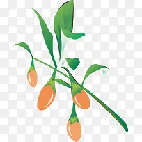 手绘枸杞-空若网 手绘枸杞-空若网