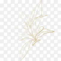 手绘枸杞-空若网 手绘枸杞-空若网