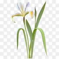 ��ɫ�ž黨-������