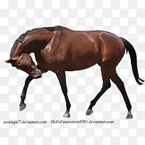 ������Ӱ��ʳ�Ŀ���-������