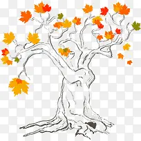 手绘线条枫树矢量图-空若网 手绘线条枫树矢量图-空若网