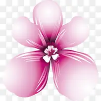 ��Ӱ���ջ�ױƷ�����ֻ滨��-������