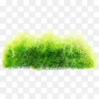 ��ɫ�̲ݻ�������-������