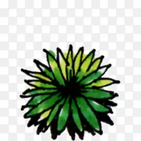 绿色创意室内绿植-空若网 绿色创意室内绿植-空若网