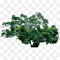 高清创意绿色摄影合成-空若网 高清创意绿色摄影合成-空若网