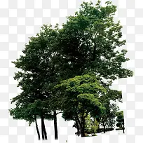 高清绿色创意摄影-空若网 高清绿色创意摄影-空若网