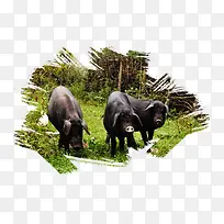 ����-������