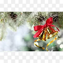 ����ʥ����������ֽ-������