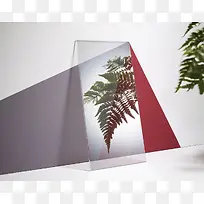 ͸����֦�����ֽ-������