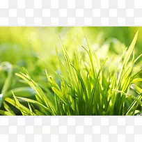 小清新摄影图片壁纸-空若网 小清新摄影图片壁纸-空若网