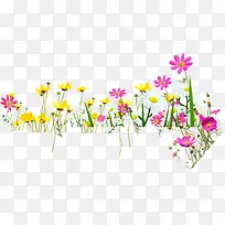 彩色小花野外装饰-空若网 彩色小花野外装饰-空若网