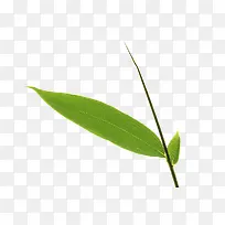 ²Ý-¿ÕÈôÍø ²Ý-¿ÕÈôÍø