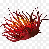 海草-空若网 海草-空若网