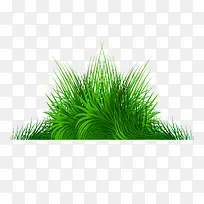 矢量手绘绿草-空若网 矢量手绘绿草-空若网