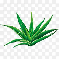 卡通海报手绘卡通芦荟-空若网 卡通海报手绘卡通芦荟-空若网