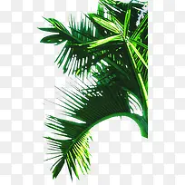 手绘插画海报效果设计-空若网 手绘插画海报效果设计-空若网