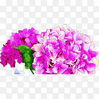 高清摄影海报手绘花朵-空若网 高清摄影海报手绘花朵-空若网