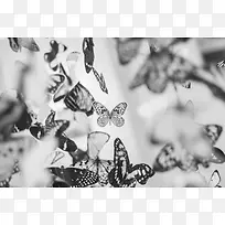 黑白复古风格摄影效果-空若网 黑白复古风格摄影效果-空若网