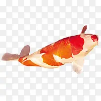 �ֻ洴�����㺣��-������