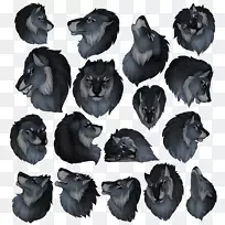 狗鼻子犬科食肉类-基达-空若网 狗鼻子犬科食肉类-基达-空若网