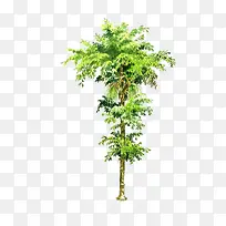 ��-������