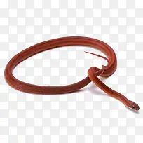 ��������-������