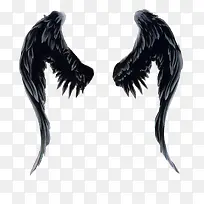 一双黑色的翅膀-空若网 一双黑色的翅膀-空若网