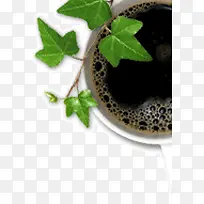 休闲咖啡绿萝-空若网 休闲咖啡绿萝-空若网