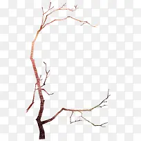 枯树枝-空若网 枯树枝-空若网
