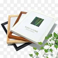 彩色简约相框植物-空若网 彩色简约相框植物-空若网