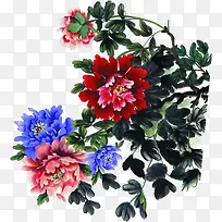 彩色手绘花朵植物-空若网 彩色手绘花朵植物-空若网