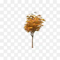 ��-������