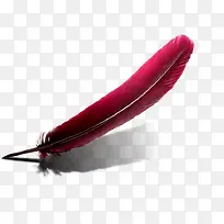 红色羽毛动物羽毛-空若网 红色羽毛动物羽毛-空若网