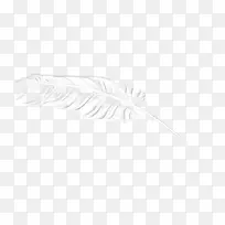 �ֻ���ë-������