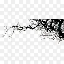 树枝剪影-空若网 树枝剪影-空若网