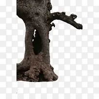 ��֦֦��ʵ��-������