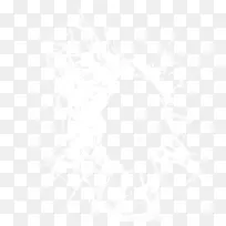 �鲣��-������