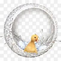 ��ɫѼ��Ѽ��-������